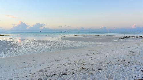 beach1