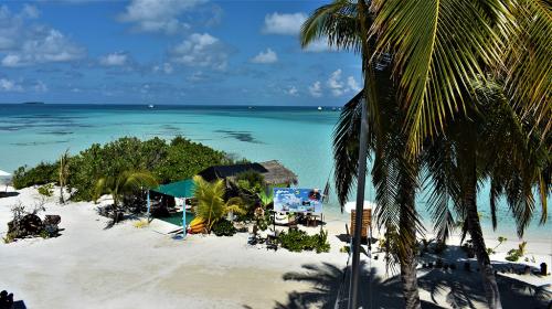 room-view1