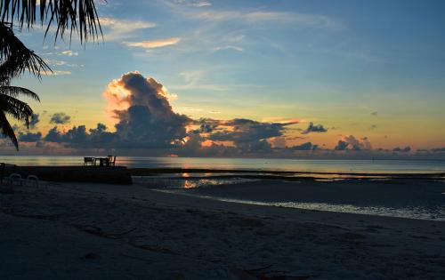 sun-set